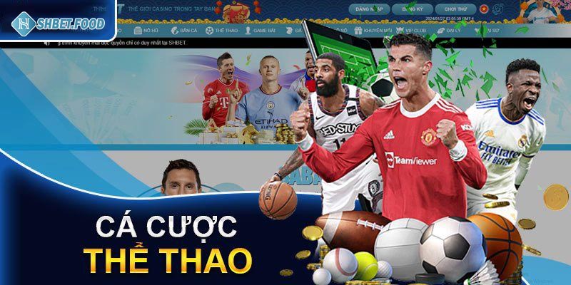 Mẹo cược thể thao Shbet