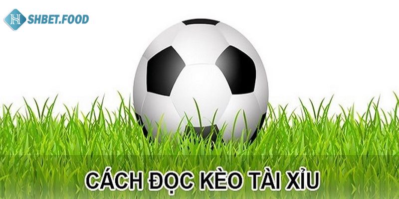 Cách đọc kèo tài xỉu dễ hiểu