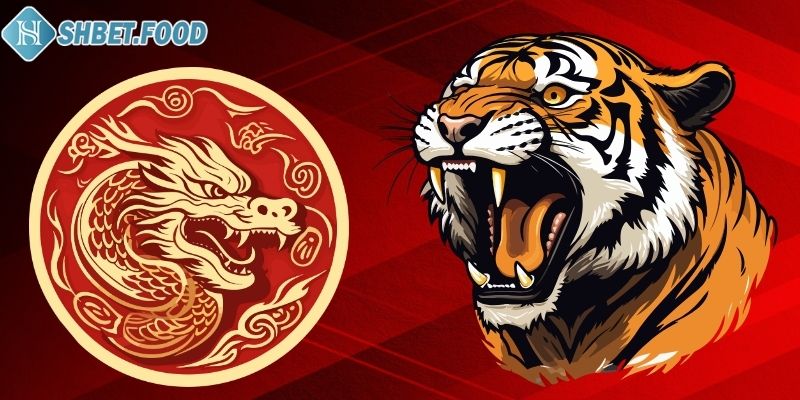 Tham gia Dragon Tiger online tại SHBET như thế nào?