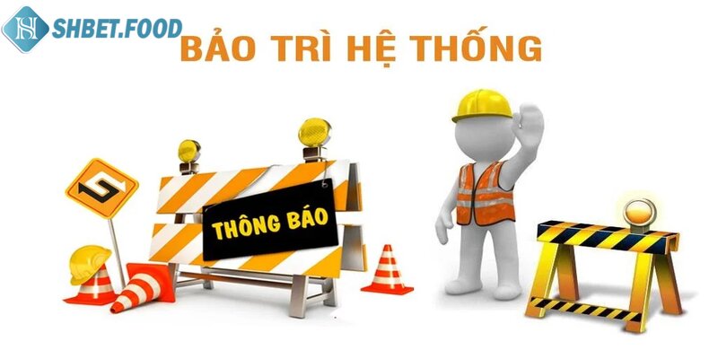 Câu hỏi thường gặp