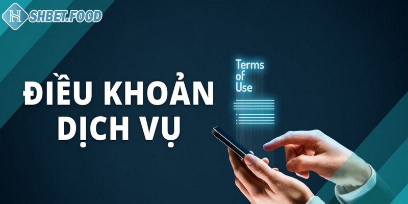 Điều khoản và điều kiện